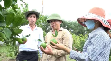 إنتاج سليم، مما يعزز قيمة المنتجات الزراعية.